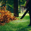 Fall Leaf & Debris Cleanup